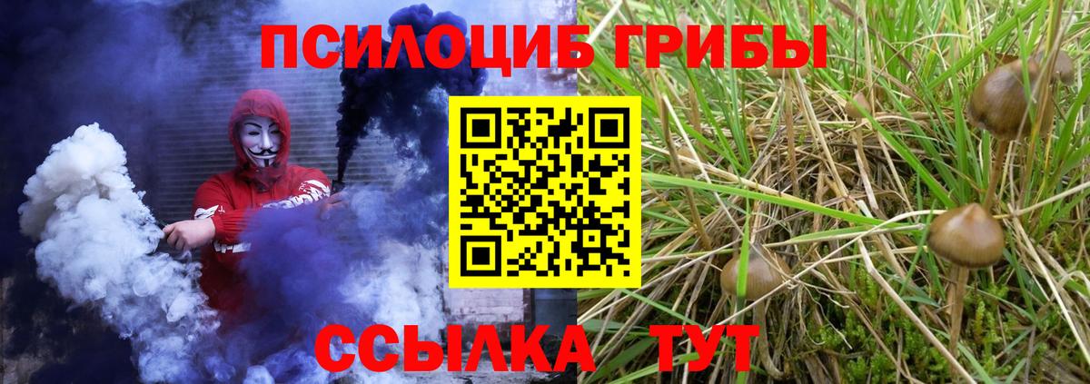 Галлюциногенные грибы Psilocybe Златоуст